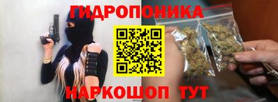 прущие грибы Балаково