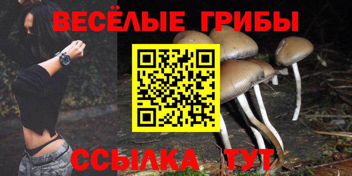 Галлюциногенные грибы GOLDEN TEACHER Дзержинский