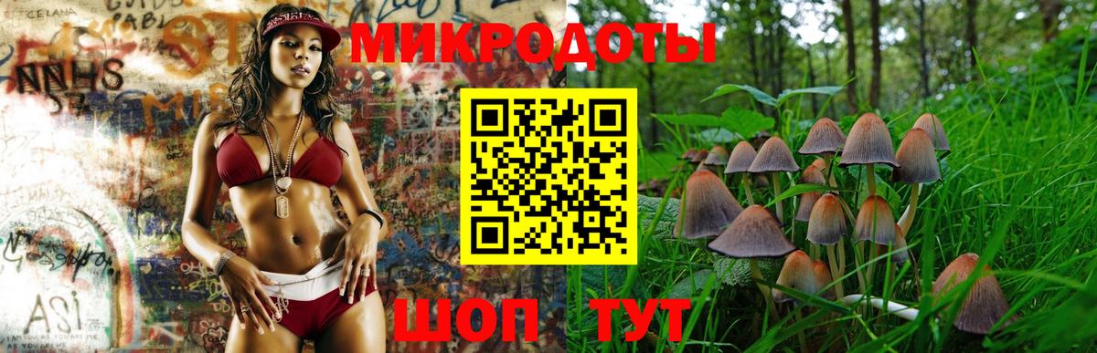 Псилоцибиновые грибы Psilocybe  Псилоцибиновые грибы MAGIC MUSHROOMS  Вход с VPN  Дзержинский 